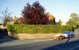 Garden Maintenance Services from Hartley Landscapes