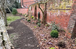 Planting from Hartley Landscapes