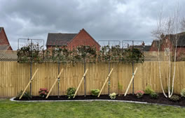 Planting from Hartley Landscapes