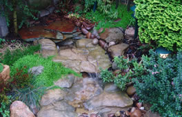 Ponds and water features from Hartley Landscapes