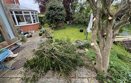 learn about our garden maintenance services